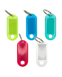 Translucent Plastic Key Tags with Split Ring Label Window, Clear Glossy Keychain ID Name Tags